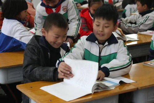 价值观拍卖游戏,价值观拍卖游戏深度解析(图3) 价值观拍卖游戏,价值观拍卖游戏深度解析(图3)
