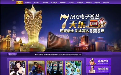 橘子娱乐棋牌2024最新版 (图3) 橘子娱乐棋牌2024最新版 (图3)
