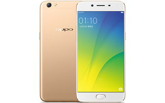 oppor9s玩游戏卡,OPPO R9s游戏卡顿问题解析与解决攻略(图3) oppor9s玩游戏卡,OPPO R9s游戏卡顿问题解析与解决攻略(图3)