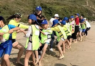 海边活动游戏,探索海边活动游戏的无限魅力(图3) 海边活动游戏,探索海边活动游戏的无限魅力(图3)