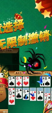 蜘蛛网牌游戏,团队协作与策略挑战的完美结合(图1) 蜘蛛网牌游戏,团队协作与策略挑战的完美结合(图1)