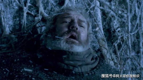 霍多 权力的游戏,揭秘权力的游戏中的神秘保镖(图2) 霍多 权力的游戏,揭秘权力的游戏中的神秘保镖(图2)