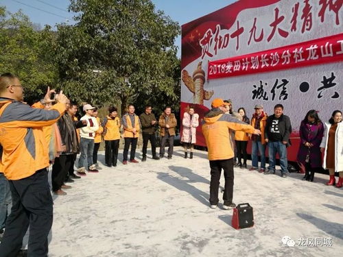 打造团队凝聚力的游戏,共创辉煌未来(图1)