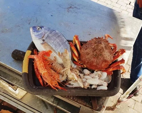 做海鲜游戏,打造你的海鲜游戏帝国(图3) 做海鲜游戏,打造你的海鲜游戏帝国(图3)