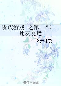 贵族游戏by夜无眠,夜无眠笔下的权谋盛宴(图1) 贵族游戏by夜无眠,夜无眠笔下的权谋盛宴(图1)