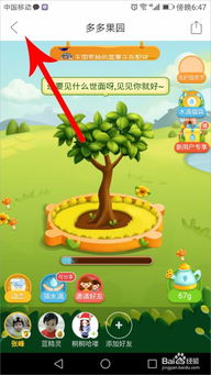 菠萝果园游戏,趣味盎然的虚拟果园冒险之旅”(图2)