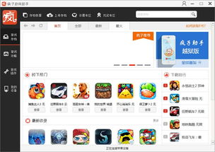 疯子游戏助手ios,畅享无限乐趣(图3) 疯子游戏助手ios,畅享无限乐趣(图3)