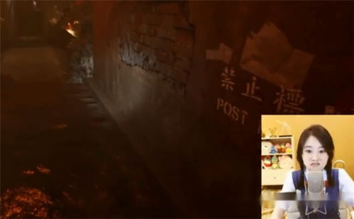 提莫恐怖游戏,暗影刺客的恐怖游戏之旅(图1) 提莫恐怖游戏,暗影刺客的恐怖游戏之旅(图1)