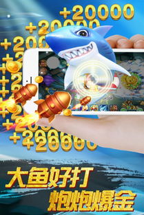 捕鱼游戏盈利,揭秘虚拟海洋中的财富密码(图3) 捕鱼游戏盈利,揭秘虚拟海洋中的财富密码(图3)