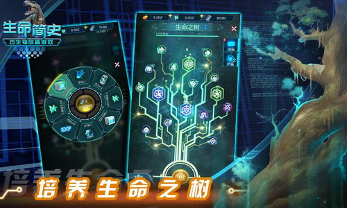 生命进化游戏,生命进化游戏深度解析(图1) 生命进化游戏,生命进化游戏深度解析(图1)