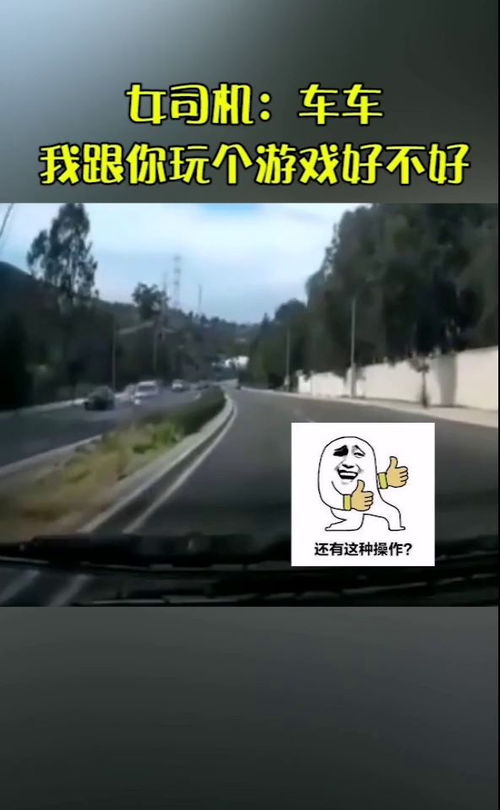 我要玩游戏车,探索游戏车世界的速度与激情(图3) 我要玩游戏车,探索游戏车世界的速度与激情(图3)