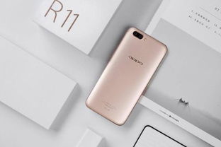 oppor11游戏,畅享王者荣耀新境界(图1) oppor11游戏,畅享王者荣耀新境界(图1)