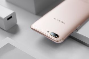 oppor11游戏,畅享王者荣耀新境界(图3) oppor11游戏,畅享王者荣耀新境界(图3)