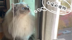 早晨互动游戏,晨间互动游戏全攻略”(图2) 早晨互动游戏,晨间互动游戏全攻略”(图2)