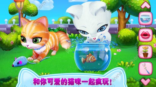 看小猫游戏,策略与乐趣的六边形棋盘冒险(图2) 看小猫游戏,策略与乐趣的六边形棋盘冒险(图2)