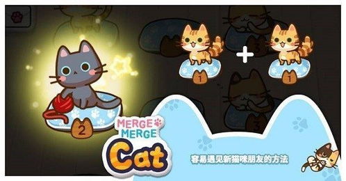 猫合成的游戏,游戏中的猫咪养成与合成之旅(图1) 猫合成的游戏,游戏中的猫咪养成与合成之旅(图1)