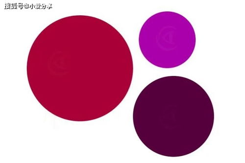 眼睛测试游戏,揭秘眼力测试图的隐藏秘密(图1) 眼睛测试游戏,揭秘眼力测试图的隐藏秘密(图1)