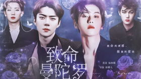 橙光游戏边伯贤婚后,幸福生活全景展现(图1) 橙光游戏边伯贤婚后,幸福生活全景展现(图1)