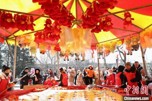 最新庙会游戏,传统与现代的完美融合(图1) 最新庙会游戏,传统与现代的完美融合(图1)