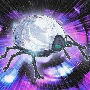 游戏王瓢虫,瓢虫家族的奇幻之旅(图3) 游戏王瓢虫,瓢虫家族的奇幻之旅(图3)