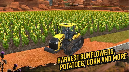 fs18游戏,感受农业乐趣(图3) fs18游戏,感受农业乐趣(图3)