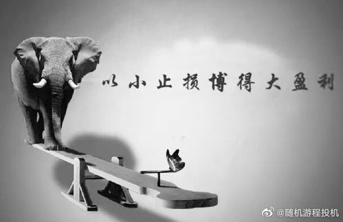 期货零和游戏,零和游戏背后的市场逻辑与风险规避(图1) 期货零和游戏,零和游戏背后的市场逻辑与风险规避(图1)