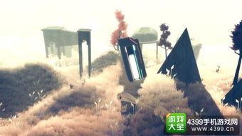 鳏夫游戏,揭秘婚姻边缘的生存法则(图3) 鳏夫游戏,揭秘婚姻边缘的生存法则(图3)