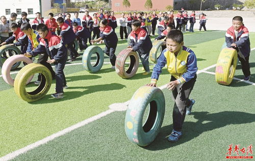 户外轮胎游戏,幼儿户外游戏的无限创意与乐趣(图3) 户外轮胎游戏,幼儿户外游戏的无限创意与乐趣(图3)