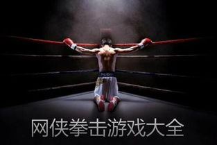 美女拳击游戏,2025年度热门美女拳击游戏盘点(图3) 美女拳击游戏,2025年度热门美女拳击游戏盘点(图3)