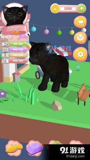 猫游戏有没有,智慧互动(图1) 猫游戏有没有,智慧互动(图1)