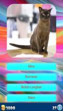 猫游戏有没有,智慧互动(图3) 猫游戏有没有,智慧互动(图3)