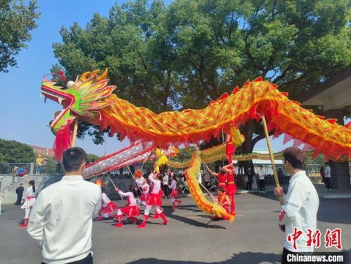 龙抬头游戏,传统节日里的欢乐游戏之旅(图3) 龙抬头游戏,传统节日里的欢乐游戏之旅(图3)