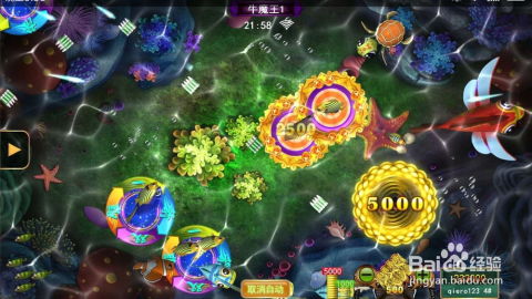 星力网上打鱼游戏,体验捕鱼乐趣(图3) 星力网上打鱼游戏,体验捕鱼乐趣(图3)