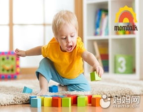 8个月宝宝游戏,开启感官探索之旅(图1) 8个月宝宝游戏,开启感官探索之旅(图1)