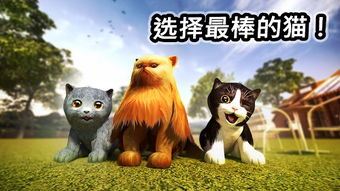 什么小猫游戏,盘点最受欢迎的可爱小猫游戏(图1) 什么小猫游戏,盘点最受欢迎的可爱小猫游戏(图1)