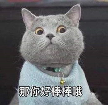 什么小猫游戏,盘点最受欢迎的可爱小猫游戏(图2) 什么小猫游戏,盘点最受欢迎的可爱小猫游戏(图2)
