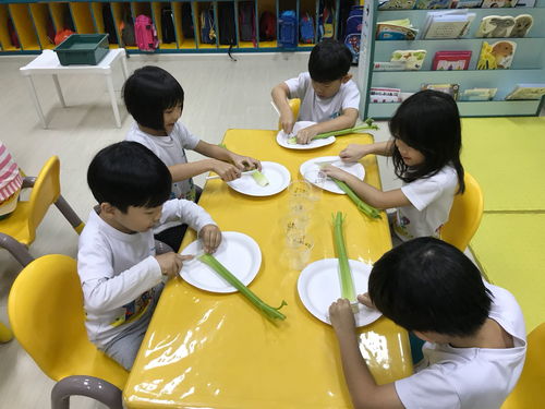 幼儿园过渡环节小游戏,快乐成长(图3) 幼儿园过渡环节小游戏,快乐成长(图3)