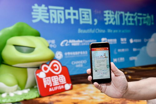 公益互动游戏,共创美好未来(图1) 公益互动游戏,共创美好未来(图1)