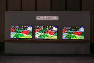z9d游戏,融合街机与3D射击的全新体验(图3) z9d游戏,融合街机与3D射击的全新体验(图3)