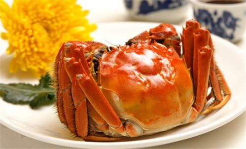 螃蟹走路游戏,体验合作乐趣(图1) 螃蟹走路游戏,体验合作乐趣(图1)