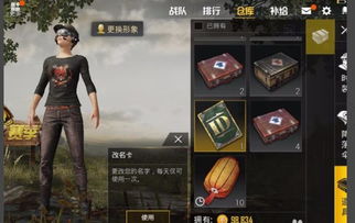 吃鸡游戏改名字怎么改,轻松打造个性ID(图3) 吃鸡游戏改名字怎么改,轻松打造个性ID(图3)