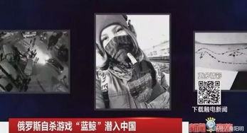 俄罗斯杀人游戏蓝鲸(图3) 俄罗斯杀人游戏蓝鲸(图3)