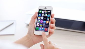 ios 游戏漏洞,破解与防护之道(图1) ios 游戏漏洞,破解与防护之道(图1)