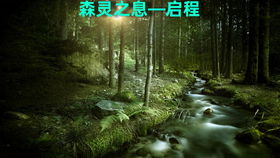 蚁王游戏,智斗蚁国争霸(图3) 蚁王游戏,智斗蚁国争霸(图3)