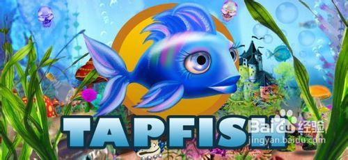 水族馆小游戏,水族馆趣味之旅(图2) 水族馆小游戏,水族馆趣味之旅(图2)
