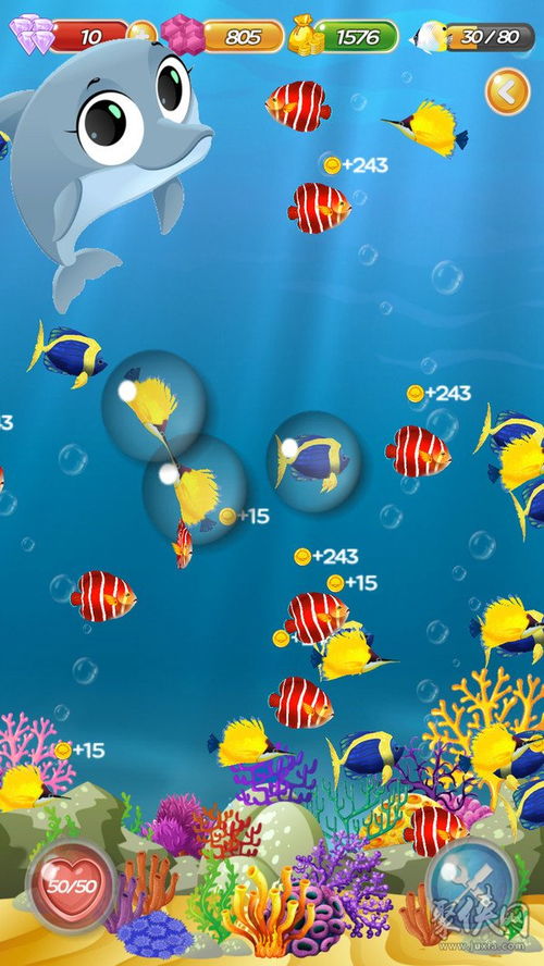 水族馆小游戏,水族馆趣味之旅(图3) 水族馆小游戏,水族馆趣味之旅(图3)