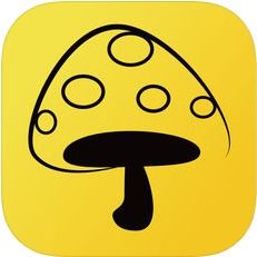 丁蘑菇游戏,生态循环中的策略冒险之旅(图2) 丁蘑菇游戏,生态循环中的策略冒险之旅(图2)