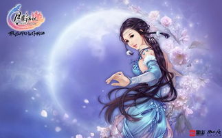 游戏纳兰,游戏中的侠骨柔情与策略智慧(图1) 游戏纳兰,游戏中的侠骨柔情与策略智慧(图1)