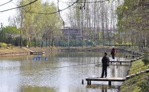 河边钓游戏,享受宁静与收获的乐趣(图3) 河边钓游戏,享受宁静与收获的乐趣(图3)