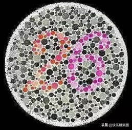 色弱测试游戏,体验在线色弱测试游戏(图2)